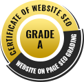 Website Seo score checker