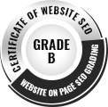 Website Seo score checker